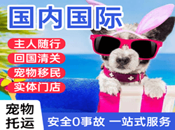 承德机场快运国际宠物托运 【国